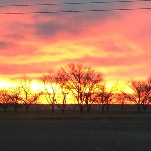 Meet your Posher, Brandy